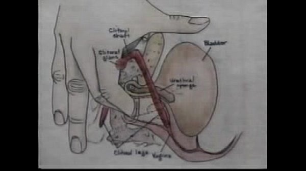 Fucky-fucky Education Orgasm Training Vid